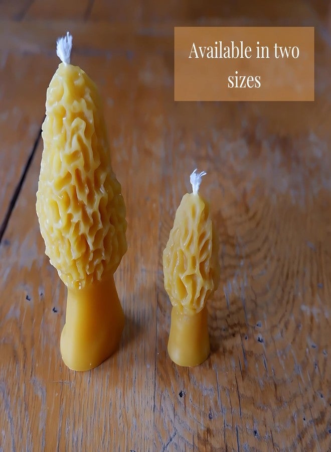 Candlestock Handmade Morel Mushroom Beeswax Candle, 100% Pure USA Beeswax, 1.75 X 5 Inches, Natural Cotton Wick - Image 5